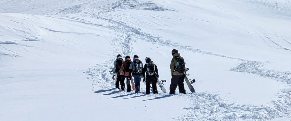 cabin fever y the valley