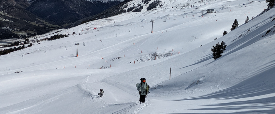 cabin fever baqueira