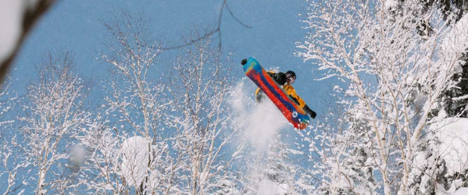 Cabin Fever oficial Burton dealer